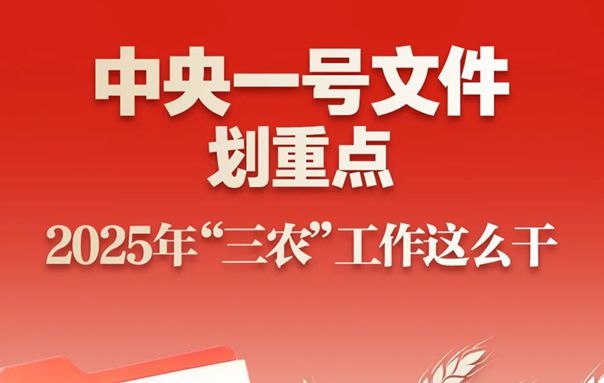 2025今晚必出三肖，全面释义、解释与落实