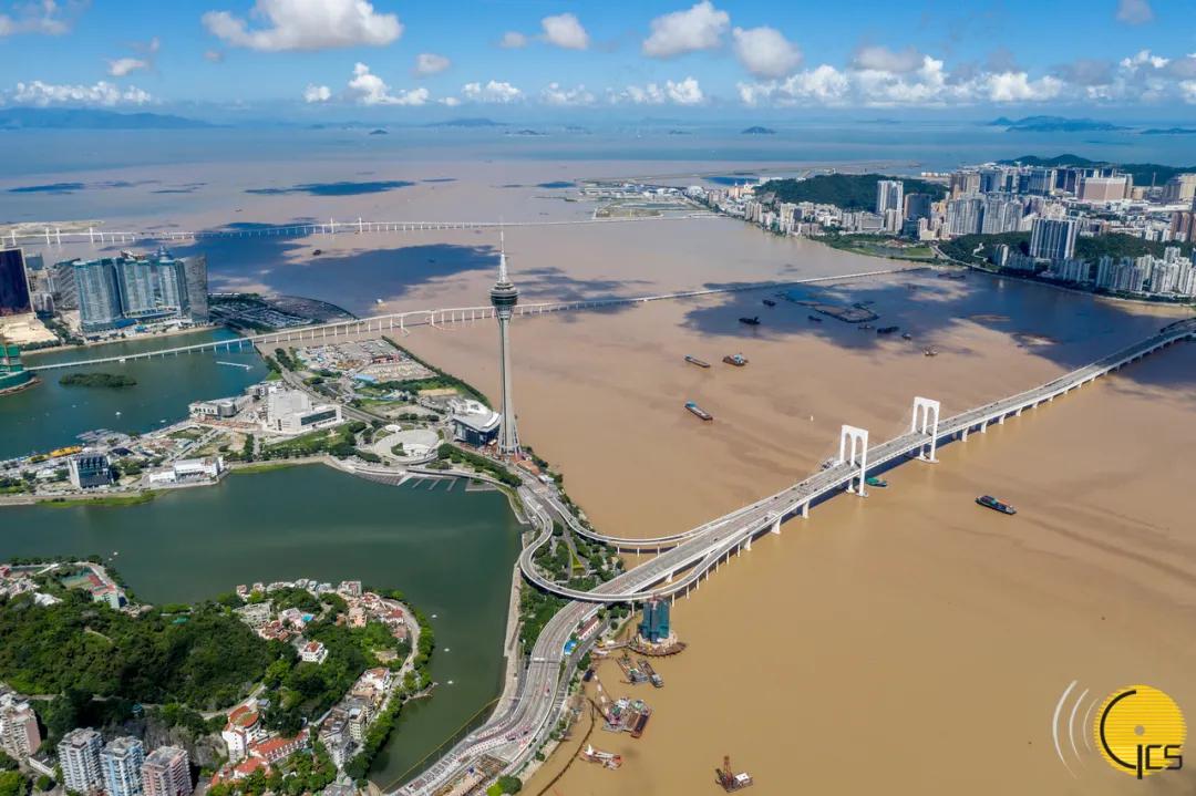全民2025澳门买马最准特码网站www构建解答，专家全面解释与落实与警惕虚假宣传
