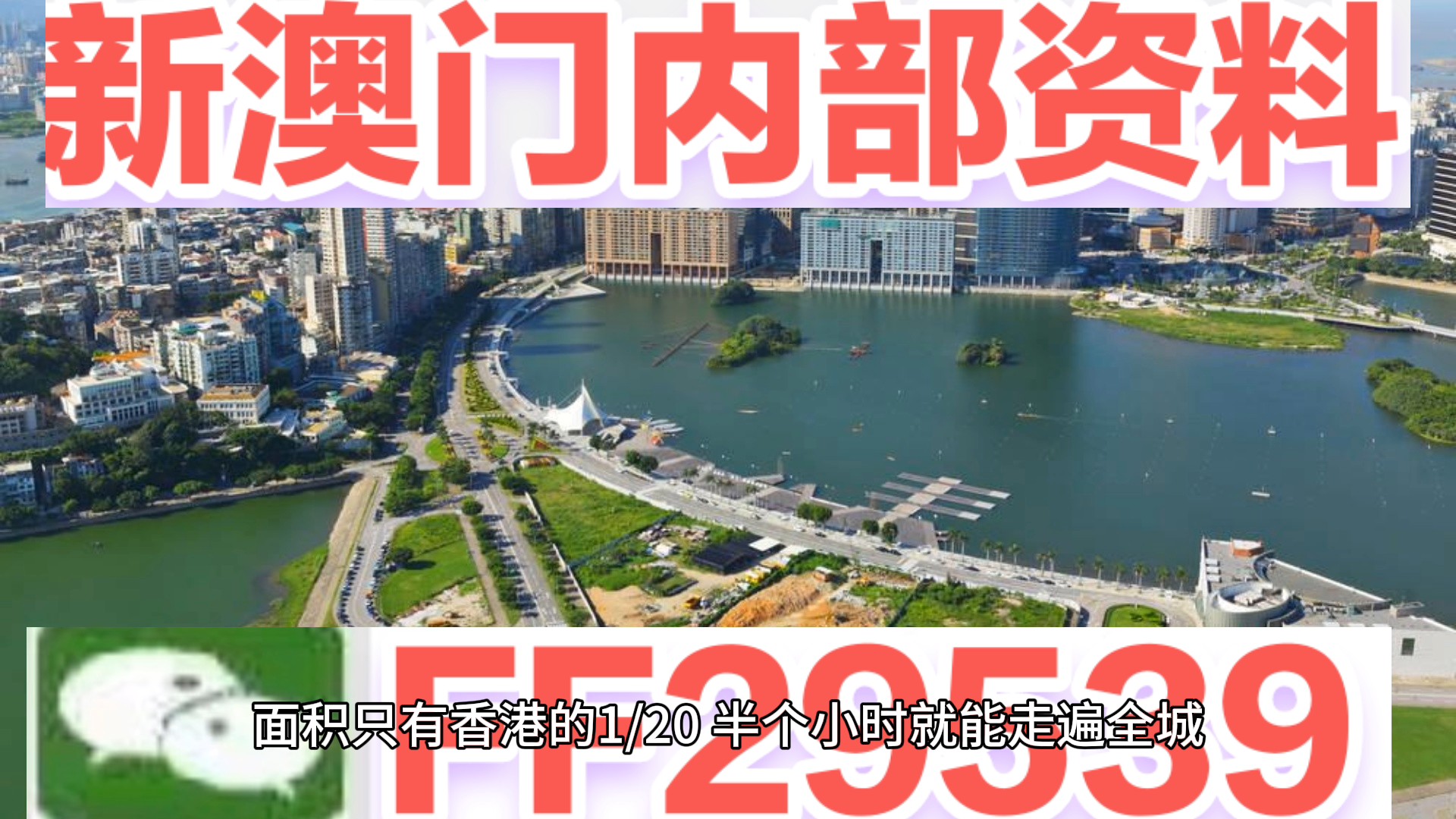 全面推广2025年澳门今晚开奖号码,详细解答、解释与落实
