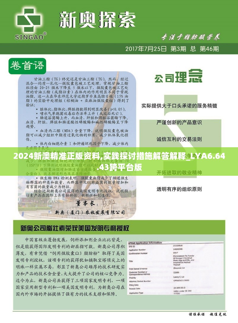 2025新奥资料正版大全详细解答、解释与落实