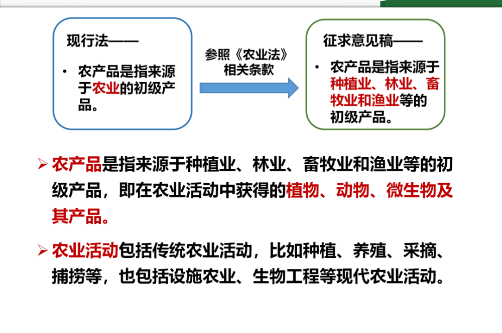 2025精准资料免费大全,详细解答，专家全面解释与落实